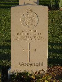 Salonika (Lembet Road) Military Cemetery - Fowler, Harold